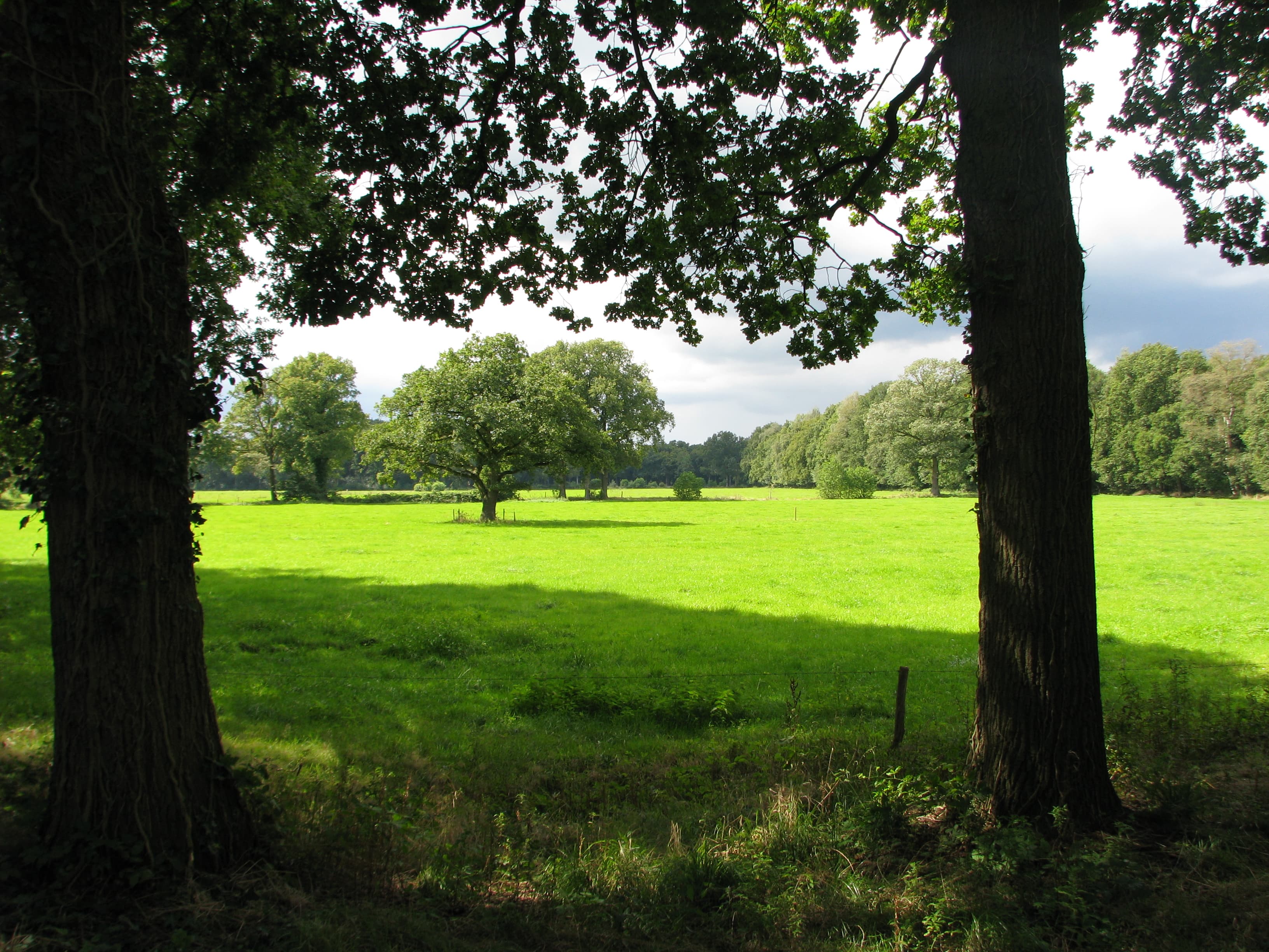 Coulissenlandschap bij Ommen, kenmerkend voor het Vechtdal.