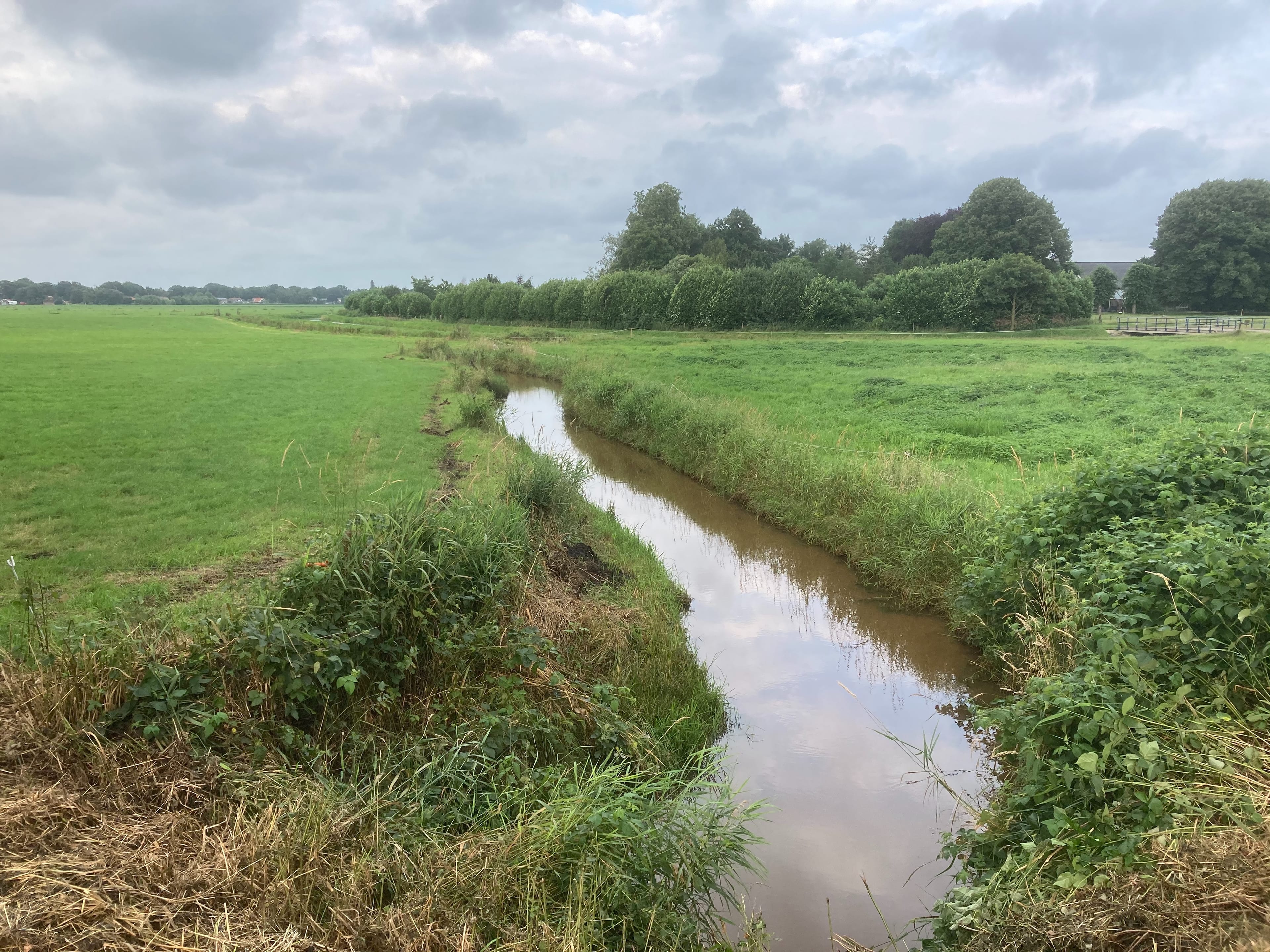 Een fietser op een landweg in het Reestdal.