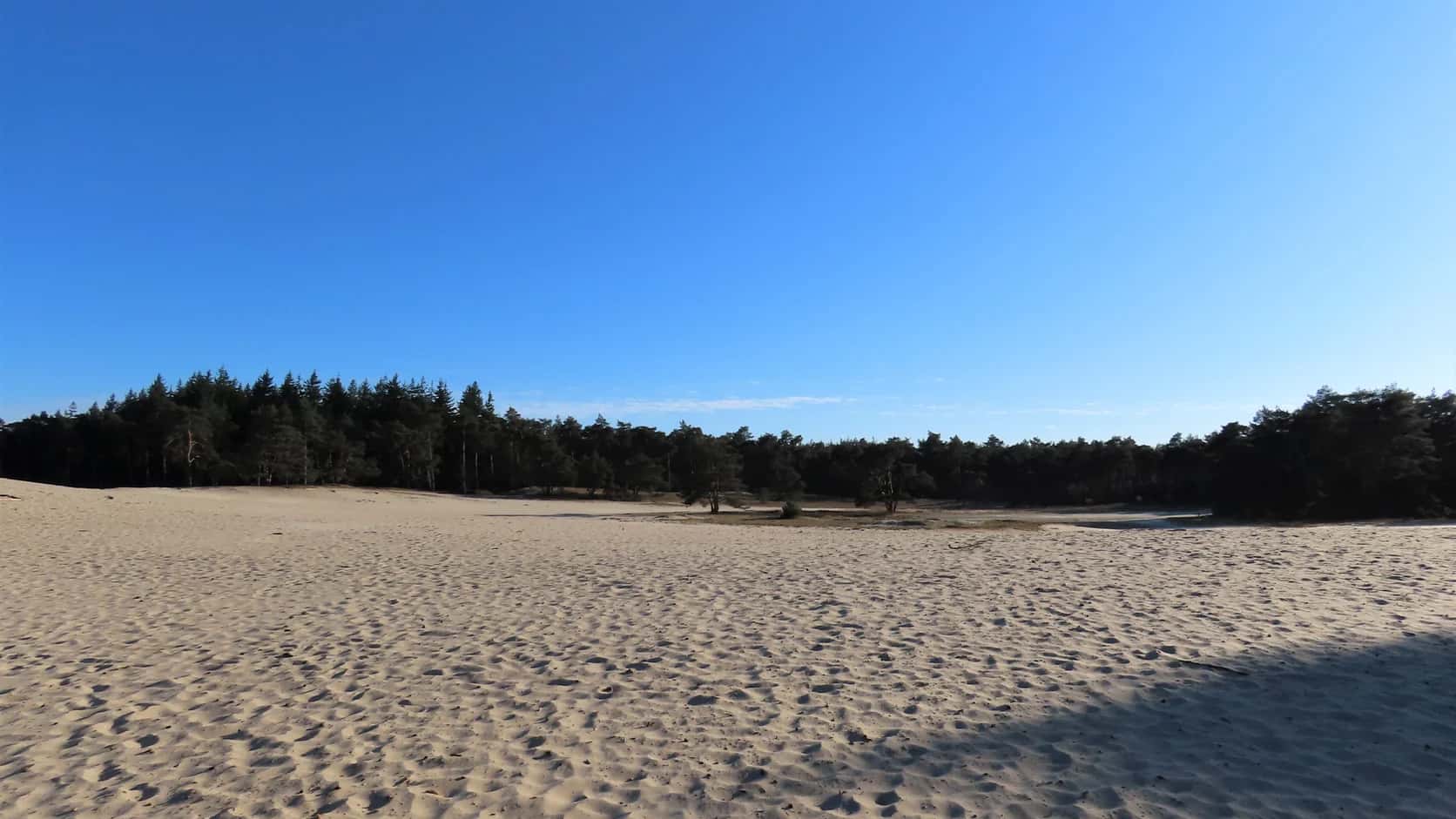 Zandverstuiving van de Ommense Sahara met bosrand en voetsporen in het zand.