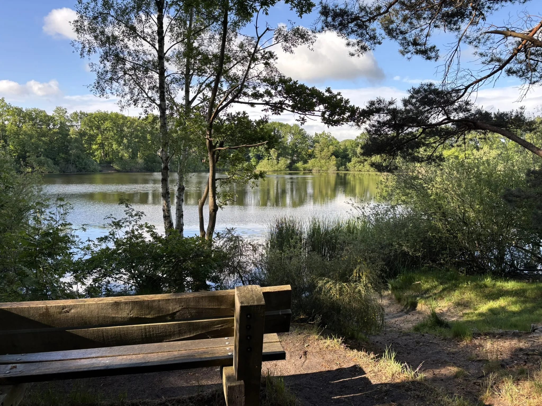 Een vlonderpad door het veengebied van de Ommerschans.